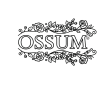ossum icon transparent
